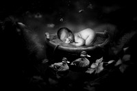 MAVERICK_14DAYS-9