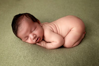 MAVERICK_14DAYS-1