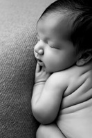 MAVERICK_14DAYS-3bw