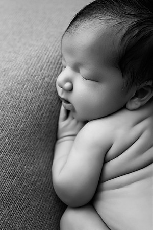 MAVERICK_14DAYS-3bw