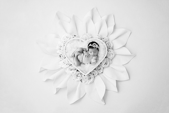 NORA_12DAYS-41