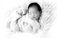 ZEN_13DAYS-5bw