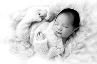 ZEN_13DAYS-6bw