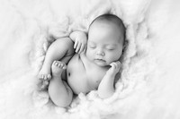 MAVERICK_88DAYS-15