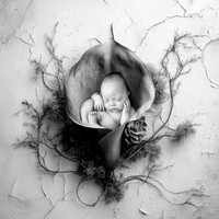 MAVERICK_88DAYS-2