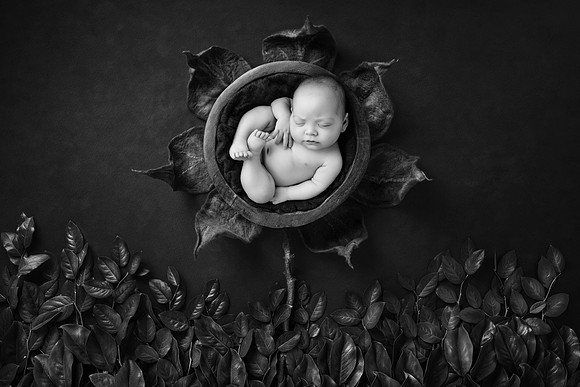 MAVERICK_88DAYS-19