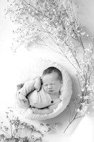 HUDSON_7DAYS-5