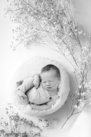 HUDSON_7DAYS-5