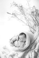 HUDSON_7DAYS-11