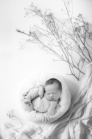 HUDSON_7DAYS-11