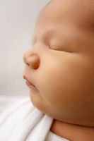 HUDSON_7DAYS-17