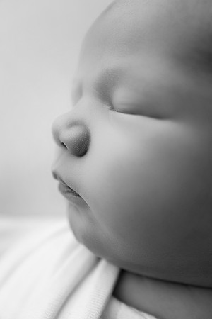 HUDSON_7DAYS-17bw