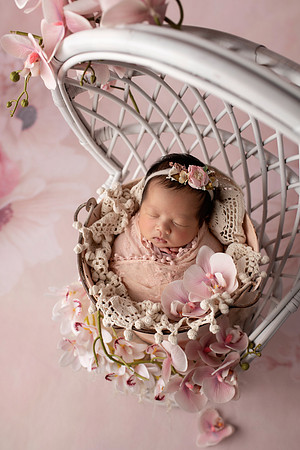 CHARLOTTE_13DAYS-16