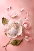 AERIS_23DAYS-15