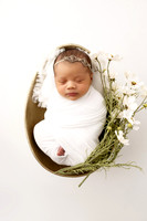 BRIAR_14DAYS-12