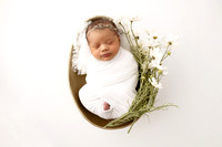 BRIAR_14DAYS-14