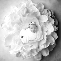 BRIAR_14DAYS-11