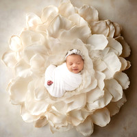 BRIAR_14DAYS-10