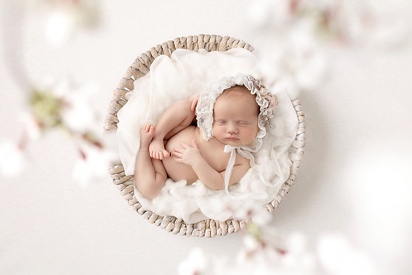 SADIE_18DAYS-15