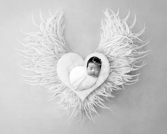 Heart wings whitebw