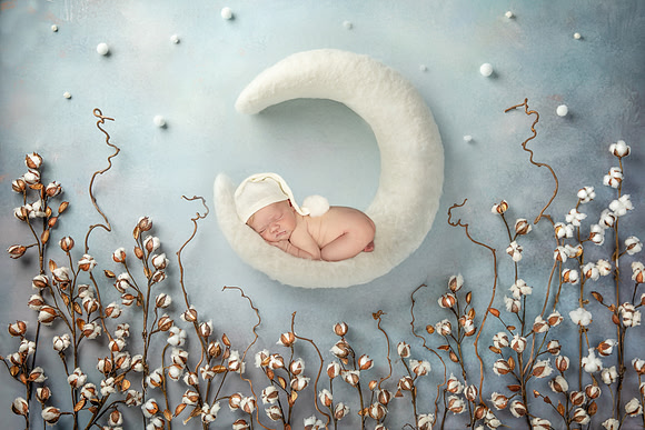 THEODORE_14DAYS-13