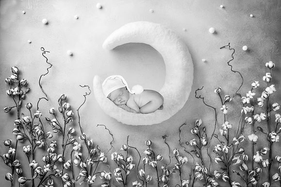 THEODORE_14DAYS-14