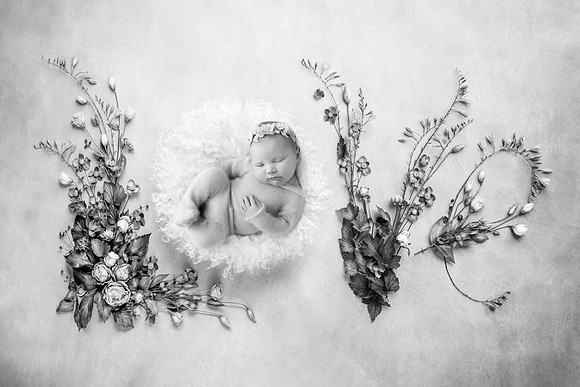 EVERLY_11DAYS-2