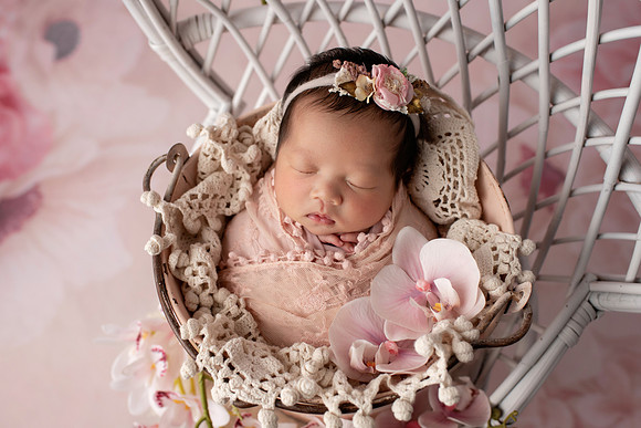 CHARLOTTE_13DAYS-15