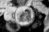 JAXON_10DAYS-15