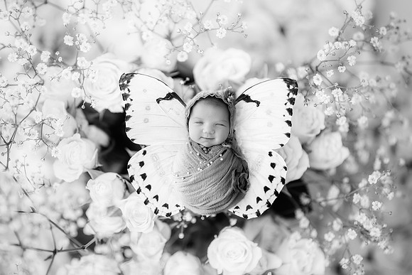 HARLOW_18DAYS-24
