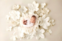 EMMA_33DAYS-13
