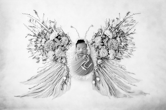 AVA_11DAYS-7