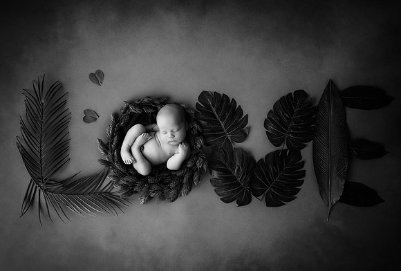 ARCHER_12DAYS-14