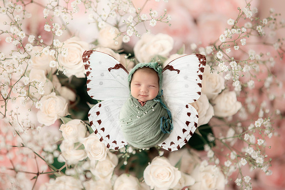 HARLOW_18DAYS-23