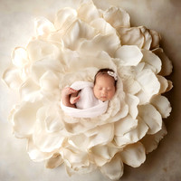 EMMA_33DAYS-3