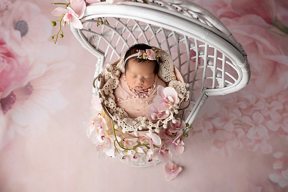CHARLOTTE_13DAYS-13