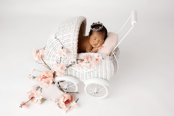 IVORY_10DAYS-8