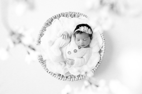 NORA_12DAYS-27