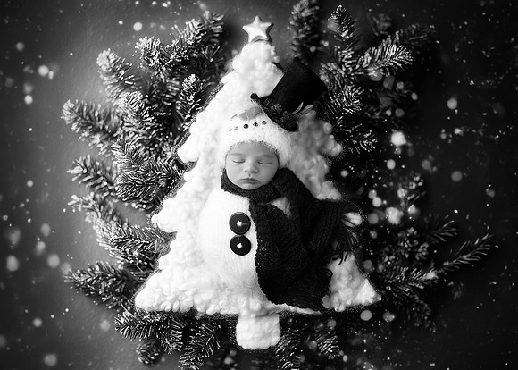 JULIAN_11DAYS-2