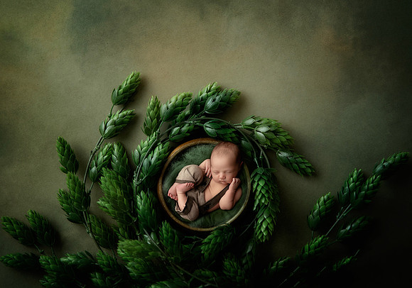 ARCHER_13DAYS-4