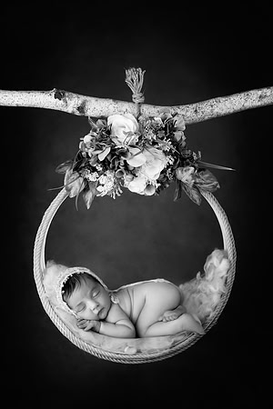 IRIS_10DAYS-5