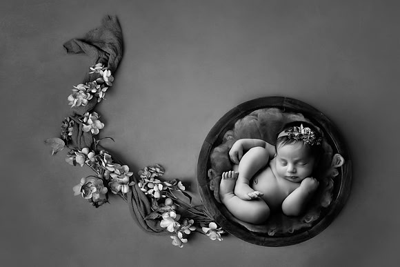 IRIS_10DAYS-12