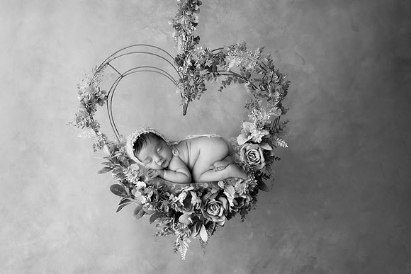 IRIS_10DAYS-17