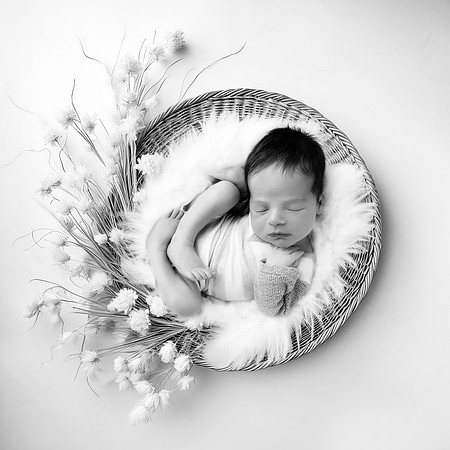 JULIAN_11DAYS-64