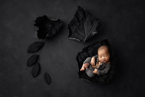 ADRIAN_6DAYS-28