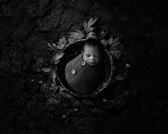 NOLAN_13DAYS-8
