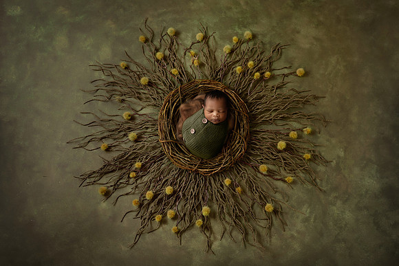 NOLAN_13DAYS-14