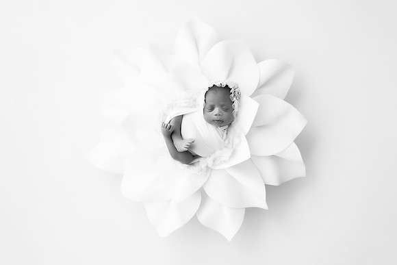 NERAJ_14DAYS-7