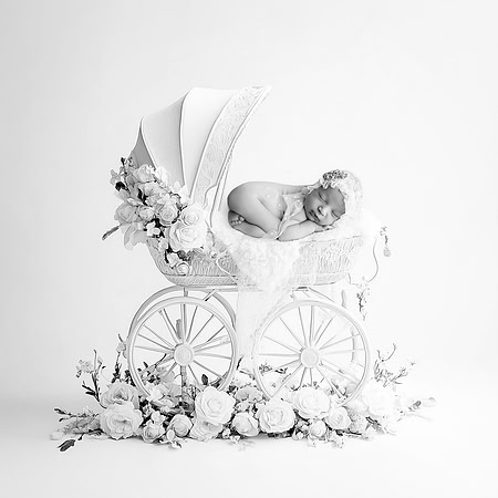 CAPRI_24DAYS-2