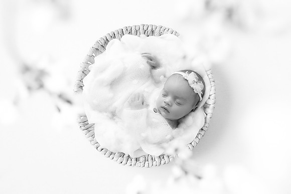 PIERCE_35 DAYS-74